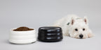 BOBO & BOWL