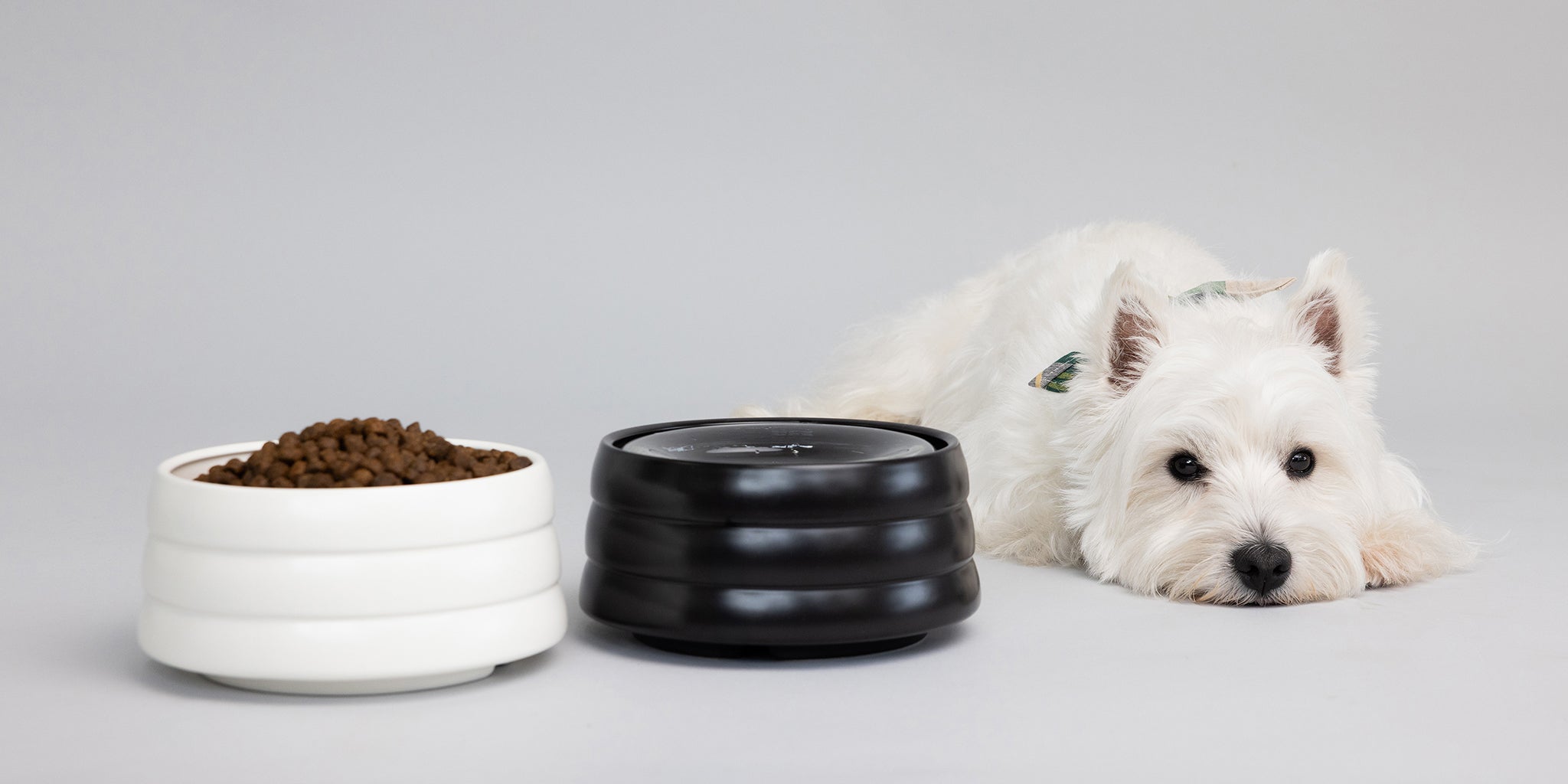 BOBO & BOWL