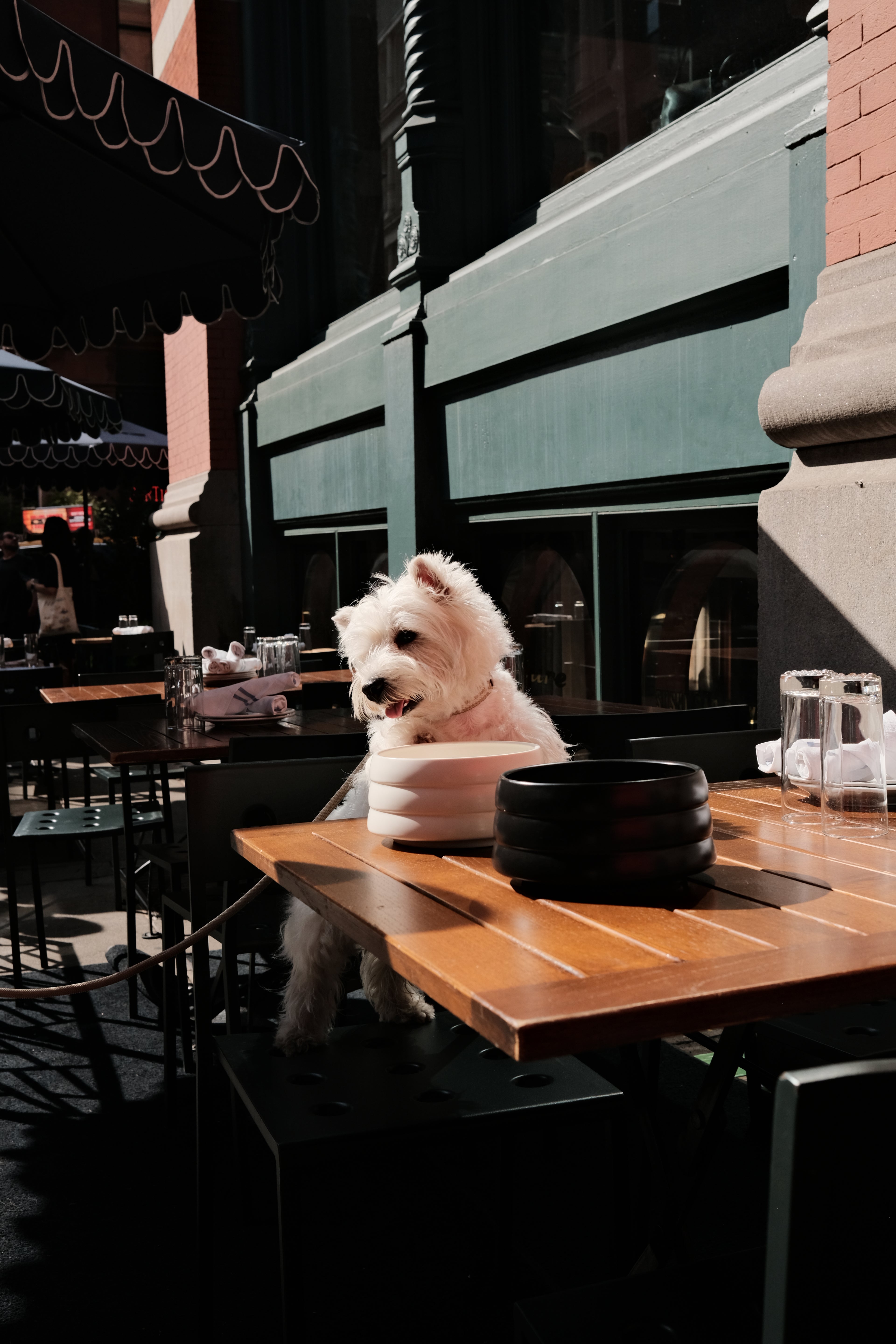 BOBO'S BOWL